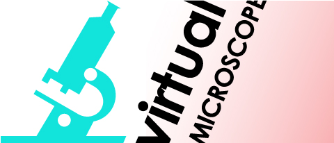 Idea for logo for the Virtual Microscope project